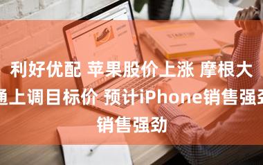 利好优配 苹果股价上涨 摩根大通上调目标价 预计iPhone销售强劲