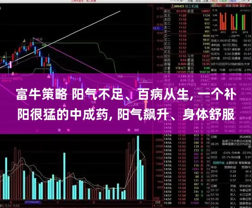 富牛策略 阳气不足、百病从生, 一个补阳很猛的中成药, 阳气飙升、身体舒服