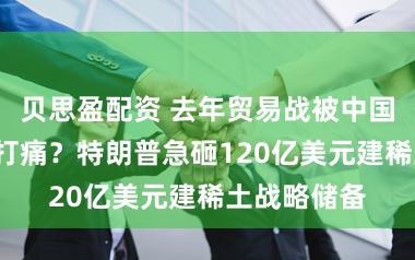 贝思盈配资 去年贸易战被中国“杀手锏”打痛？特朗普急砸120亿美元建稀土战略储备