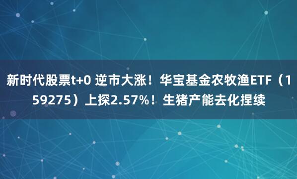 新时代股票t+0 逆市大涨！华宝基金农牧渔ETF（159275）上探2.57%！生猪产能去化捏续
