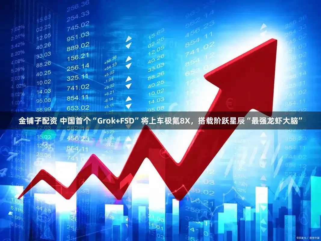 金铺子配资 中国首个“Grok+FSD”将上车极氪8X，搭载阶跃星辰“最强龙虾大脑”