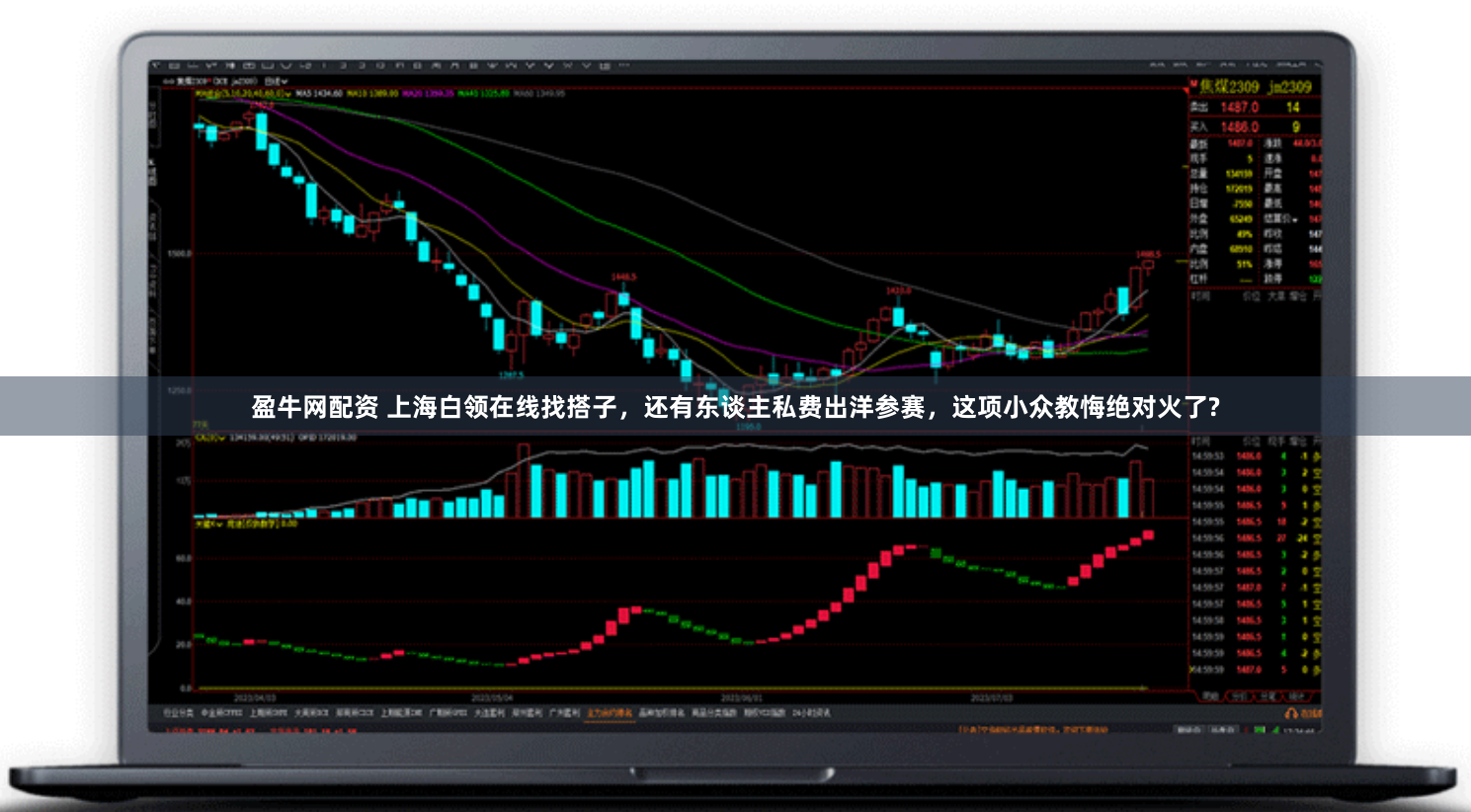 盈牛网配资 上海白领在线找搭子，还有东谈主私费出洋参赛，这项小众教悔绝对火了?