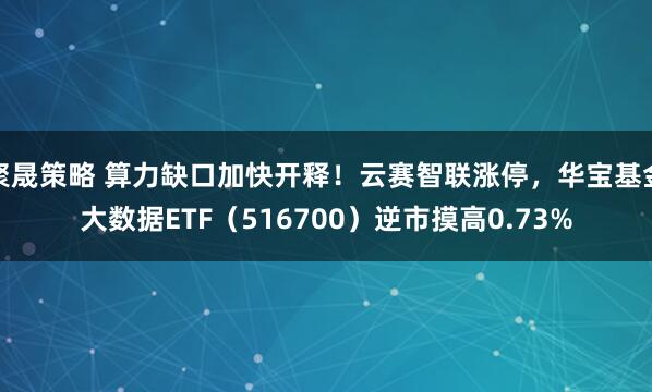 聚晟策略 算力缺口加快开释！云赛智联涨停，华宝基金大数据ETF（516700）逆市摸高0.73%