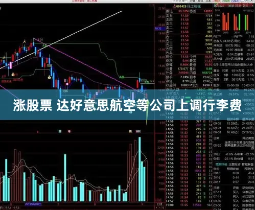 涨股票 达好意思航空等公司上调行李费