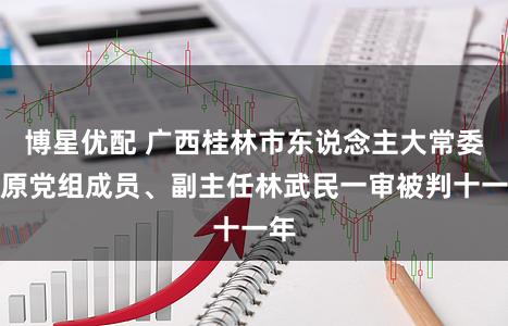 博星优配 广西桂林市东说念主大常委会原党组成员、副主任林武民一审被判十一年