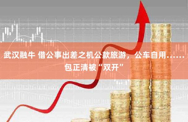 武汉融牛 借公事出差之机公款旅游，公车自用……包正清被“双开”